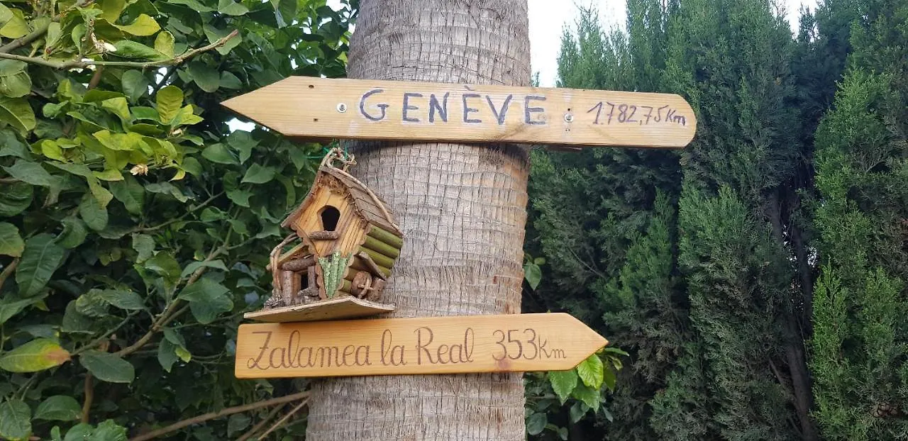Apartamento Con Jardin Y Piscina Pet Friendly マルベーリャ 0*,  スペイン