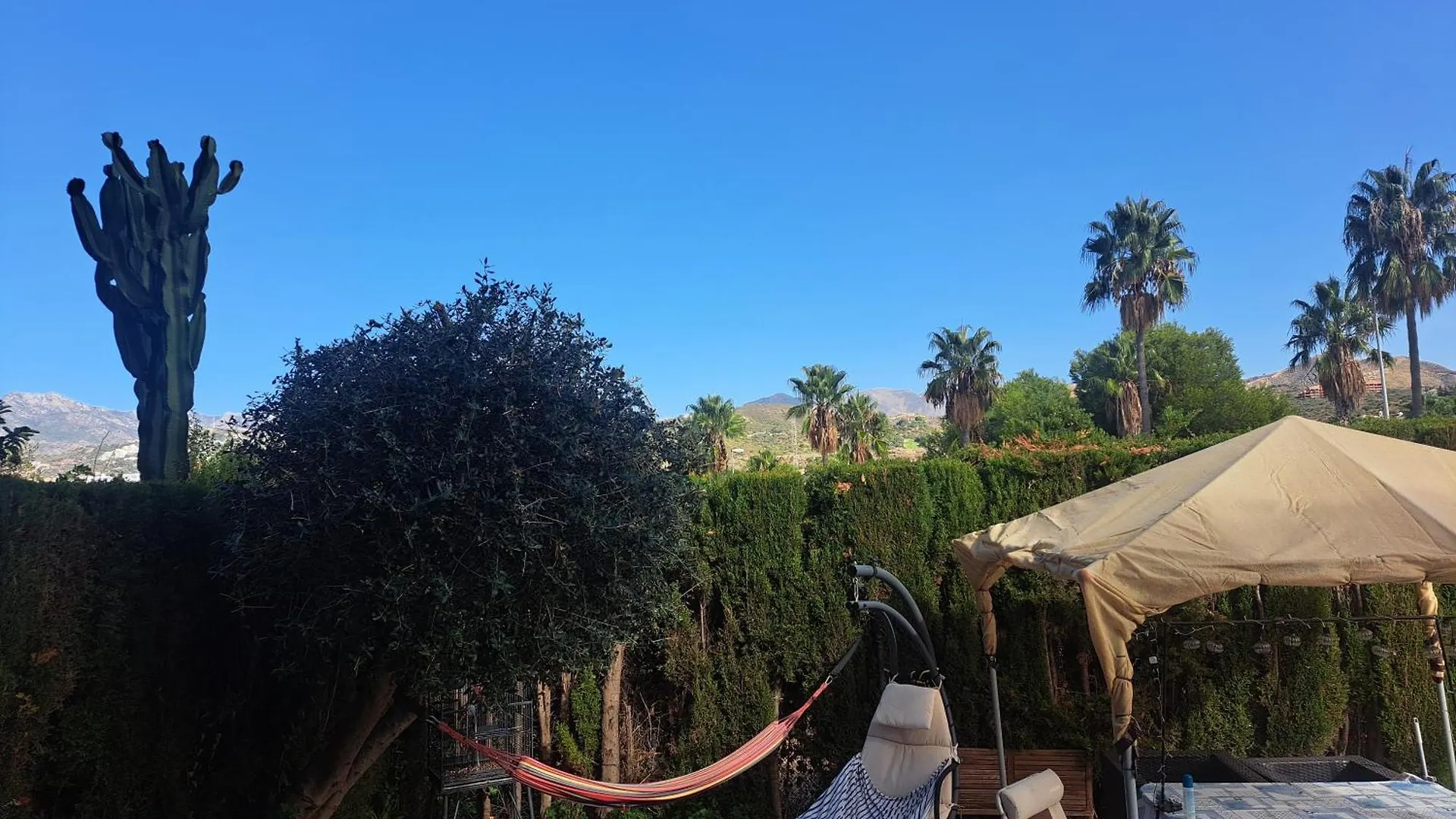 Apartamento Con Jardin Y Piscina Pet Friendly マルベーリャ スペイン